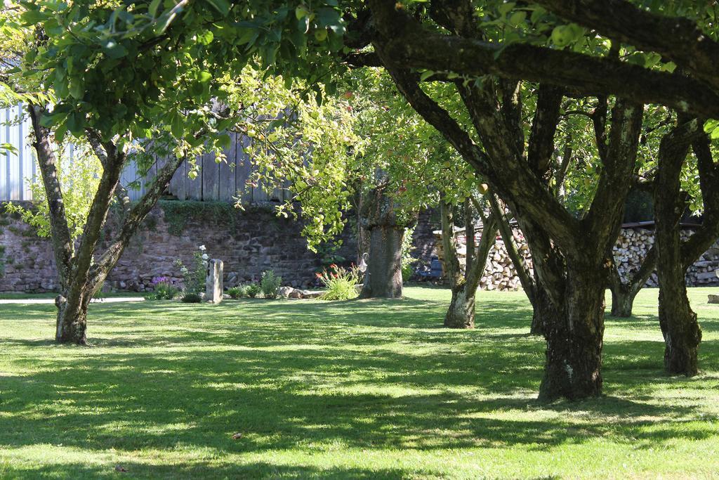 Le Lavoir Bed & Breakfast Peintre Luaran gambar